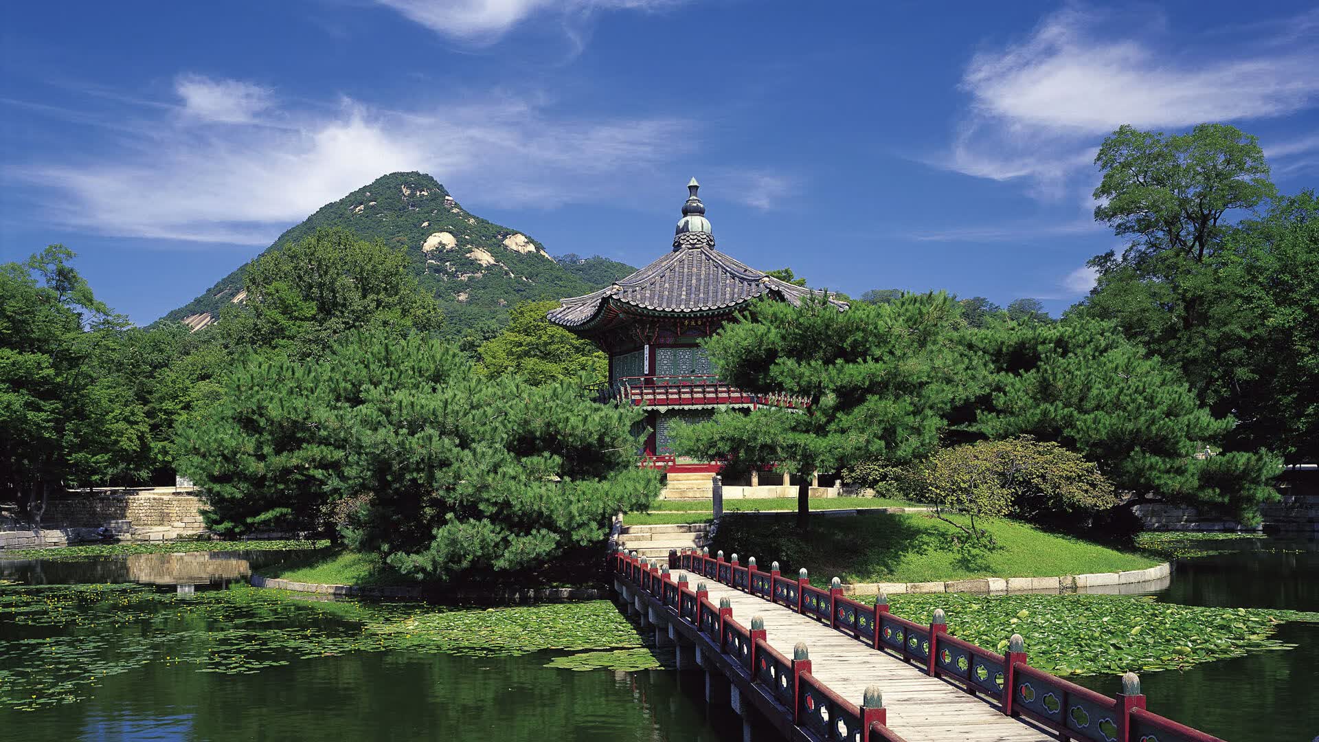 世界短道速滑教练能力认证第66期合格名单公示，世界短道速滑比赛